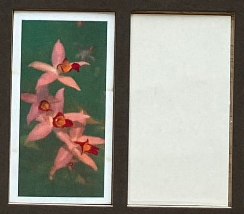 Flowers 19?? (Not Reprint ?)