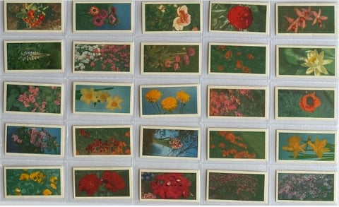 花 19?? (再版ではない?)